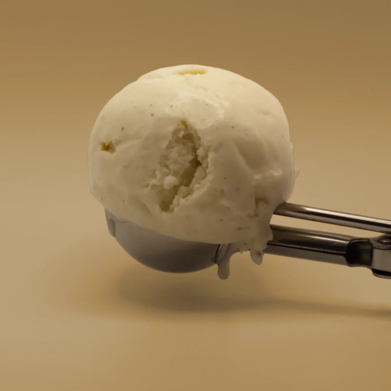 Vanilla v3